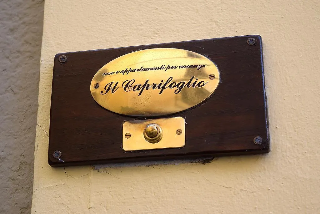Il Caprifoglio Hotel Florence Italy